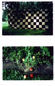 6chess