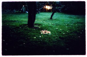 9img255